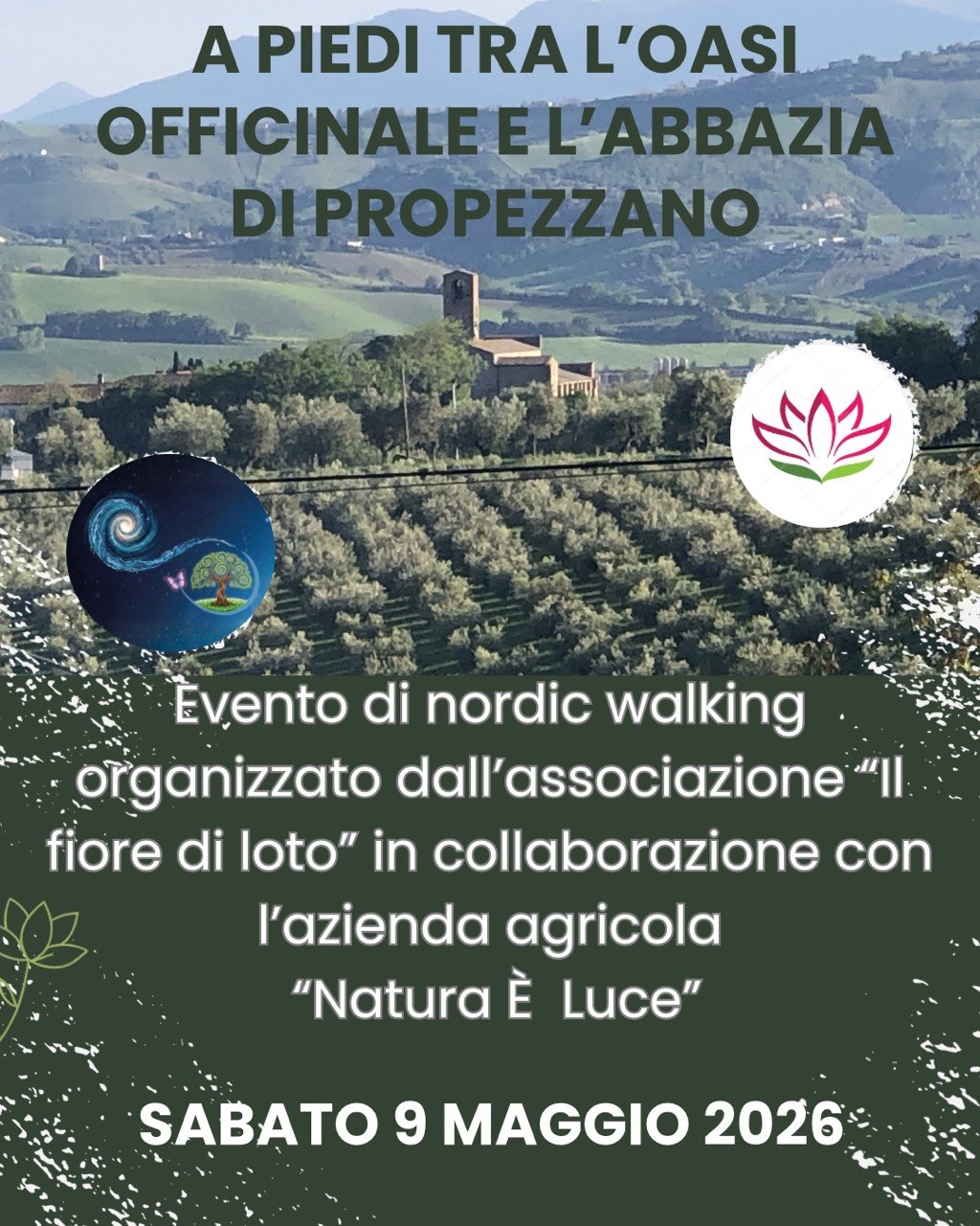 Scopri di più sull'articolo Passeggiata dall’Oasi Officinale all’Abbazia di Propezzano